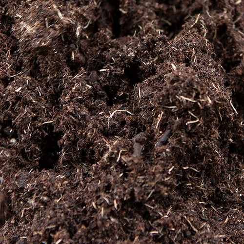 50L Premium Professional Compost 4 50L Premium Professional Compost - Image 4