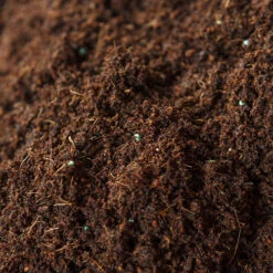 Eazy Grow MP Peat Free Coco Compost -Yougarden Online Store 100181 2