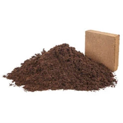 Eazy Grow MP Peat Free Coco Compost -Yougarden Online Store 100181 4