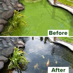 Blooming Fast Pond Clear Pro 2 Step - XLarge Pack 6 Blooming Fast Pond Clear Pro 2 Step - XLarge Pack -Yougarden Online Store 110062 2