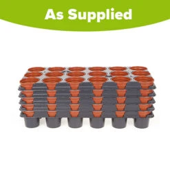 Professional Shuttle Trays -Yougarden Online Store 130013 4