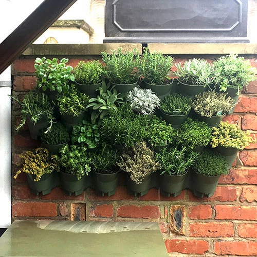 WonderWall Vertical Growing System - 4 Sections 2 WonderWall Vertical Growing System - 4 Sections - Image 2