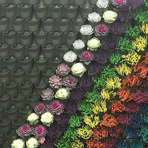 WonderWall Vertical Growing System - 4 Sections 7 WonderWall Vertical Growing System - 4 Sections - Image 7