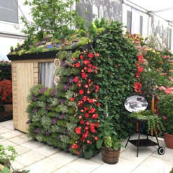 WonderWall Vertical Growing System - 10 Sections -Yougarden Online Store 130246 2