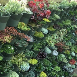 WonderWall Vertical Growing System - 10 Sections -Yougarden Online Store 130246 3