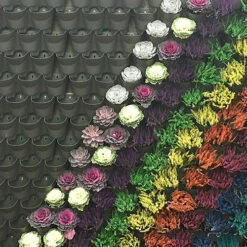 WonderWall Vertical Growing System - 10 Sections -Yougarden Online Store 130246 6