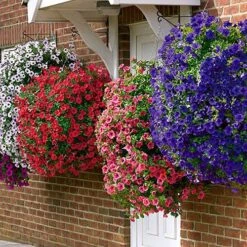 Easy Fill Hanging Baskets 38cm (15in) Pair 12 Easy Fill Hanging Baskets 38cm (15in) Pair -Yougarden Online Store 130257 5