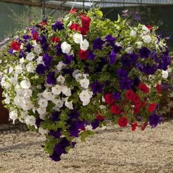 Easy Fill Hanging Baskets 38cm (15in) Pair 13 Easy Fill Hanging Baskets 38cm (15in) Pair -Yougarden Online Store 130257 6