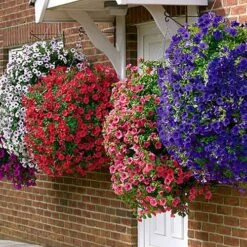 Pair Of 12" Easy Fill Hanging Baskets -Yougarden Online Store 130260 2