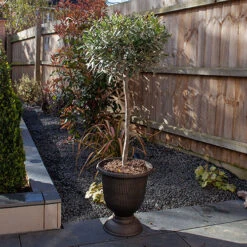 Black And Bronze Vertical Urn 5 Black And Bronze Vertical Urn -Yougarden Online Store 130271 2