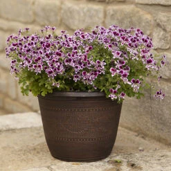 4 X Acorn Planters 25cm (10in) Copper-Tone -Yougarden Online Store 130361 2