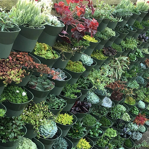 WonderWall - Single Section 4 WonderWall - Single Section - Image 4