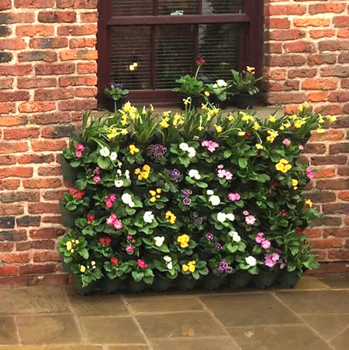 WonderWall - Single Section 5 WonderWall - Single Section - Image 5