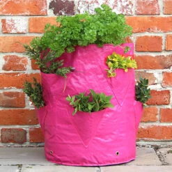 Strawberry And Herb Patio Planter Twin Pack -Yougarden Online Store 130497 2