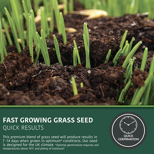 Multi-Purpose & Hardwearing Grass Seed Mix - Back Lawn, 1kg 2 Multi-Purpose & Hardwearing Grass Seed Mix - Back Lawn, 1kg - Image 2