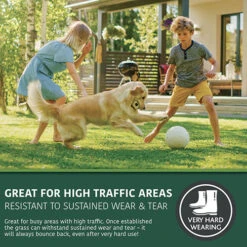 Multi-Purpose & Hardwearing Grass Seed Mix - Back Lawn, 1kg 10 Multi-Purpose & Hardwearing Grass Seed Mix - Back Lawn, 1kg -Yougarden Online Store 140101 2