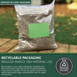 Multi-Purpose & Hardwearing Grass Seed Mix - Back Lawn, 1kg 11 Multi-Purpose & Hardwearing Grass Seed Mix - Back Lawn, 1kg -Yougarden Online Store 140101 3