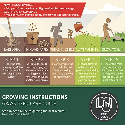 Multi-Purpose & Hardwearing Grass Seed Mix - Back Lawn, 1kg 5 Multi-Purpose & Hardwearing Grass Seed Mix - Back Lawn, 1kg - Image 5