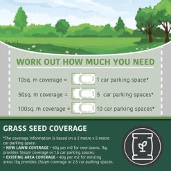 Multi-Purpose & Hardwearing Grass Seed Mix - Back Lawn, 1kg 13 Multi-Purpose & Hardwearing Grass Seed Mix - Back Lawn, 1kg -Yougarden Online Store 140101 5