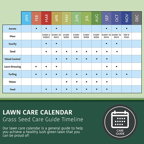 Multi-Purpose & Hardwearing Grass Seed Mix - Back Lawn, 1kg 8 Multi-Purpose & Hardwearing Grass Seed Mix - Back Lawn, 1kg - Image 8