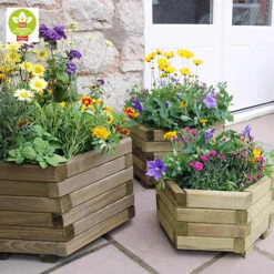 Marford Hexagonal Planter Set -Yougarden Online Store 160098 2