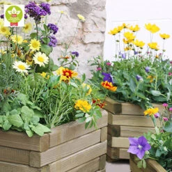 Marford Hexagonal Planter Set -Yougarden Online Store 160098 3