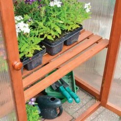 Hardwood Mini Greenhouse 8 Hardwood Mini Greenhouse -Yougarden Online Store 160265 3