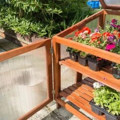 Hardwood Coldframe 7 Hardwood Coldframe -Yougarden Online Store 160479 3