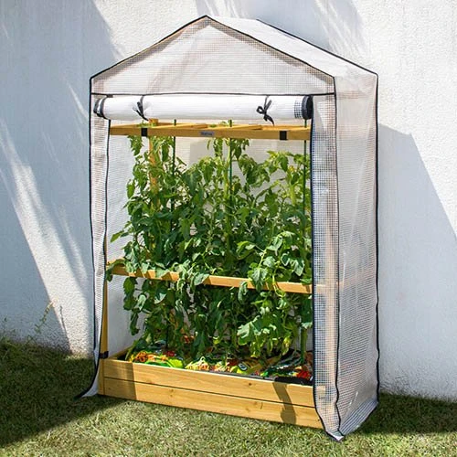 Tomato Greenhouse & PE Cover - Natural 1 Tomato Greenhouse & PE Cover - Natural
