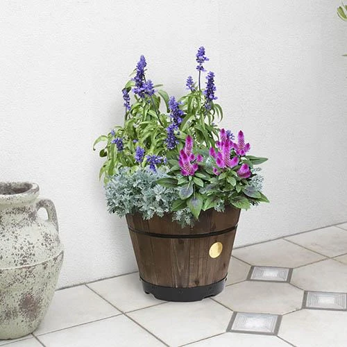 Build Your Own Barrel Kit ? Dark Brown 2 Build Your Own Barrel Kit ? Dark Brown - Image 2