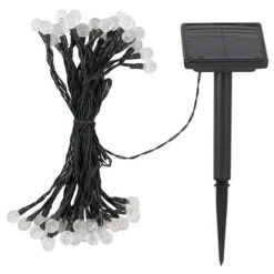 50 Super Bright Orbs 5 50 Super Bright Orbs -Yougarden Online Store 160940 2