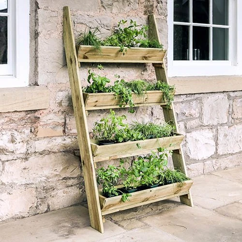 Ladder Planter 1 Ladder Planter