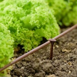 Flopro Beds & Borders Watering Kit -Yougarden Online Store 161002 3