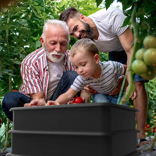 Tiger Wormery-3 Tray 3 Tiger Wormery-3 Tray - Image 3