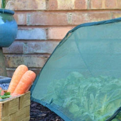 Pop Up Mini Grow Tunnel Cloche 6 Pop Up Mini Grow Tunnel Cloche -Yougarden Online Store 161376 2