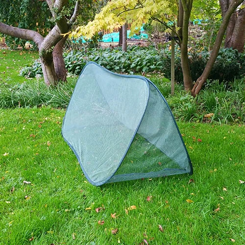 Pop Up Mini Grow Tunnel Cloche 4 Pop Up Mini Grow Tunnel Cloche - Image 4