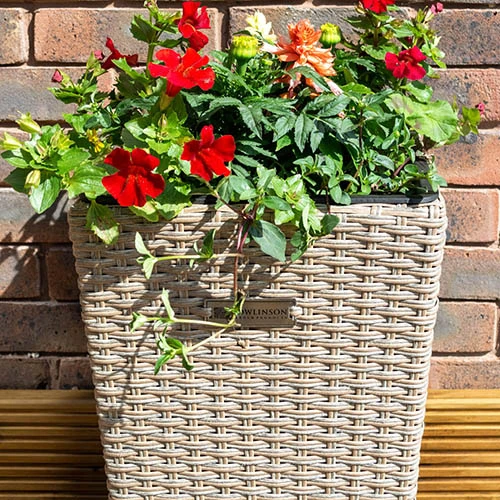 Square Rattan Planter In Natural Weave-Pack Of 2 2 Square Rattan Planter In Natural Weave-Pack Of 2 - Image 2