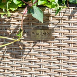 Yougarden Online Store 29 Yougarden Online Store -Yougarden Online Store 161445 1