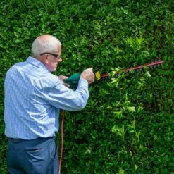 Webb 500w 51cm Cut Electric Hedge Trimmer -Yougarden Online Store 180264 7