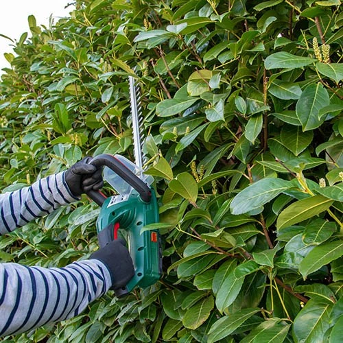 Webb 20v 2Ah Cordless Hedge Trimmer 2 Webb 20v 2Ah Cordless Hedge Trimmer - Image 2