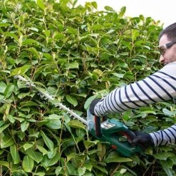 Webb 20v 2Ah Cordless Hedge Trimmer 12 Webb 20v 2Ah Cordless Hedge Trimmer -Yougarden Online Store 180267 5