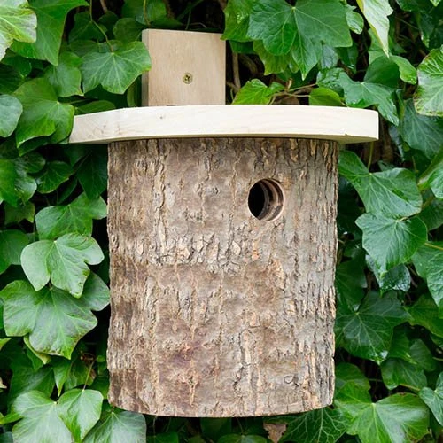 Natural Log Tit Nesting Box 2 Natural Log Tit Nesting Box - Image 2