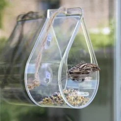 Dewdrop Window Feeder