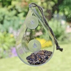 Dewdrop Window Feeder 10 Dewdrop Window Feeder -Yougarden Online Store 190049 4