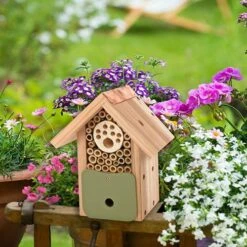 Bee Barn -Yougarden Online Store 190056 6