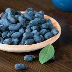 Honeyberry -Yougarden Online Store 310034 3