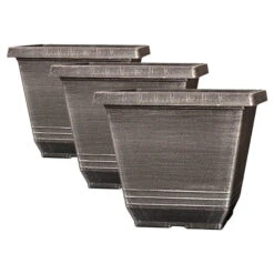 The Complete Blueberry Growing Kit 13 The Complete Blueberry Growing Kit -Yougarden Online Store 310083 5