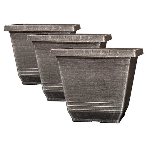 The Complete Blueberry Growing Kit 6 The Complete Blueberry Growing Kit - Image 6