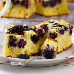 Morus Rotundiloba 'Mojoberry' Dwarf Mulberry 16 Morus Rotundiloba 'Mojoberry' Dwarf Mulberry -Yougarden Online Store 310092 7