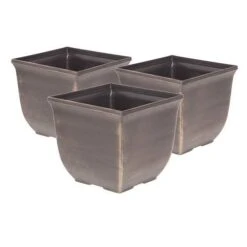 Complete Blueberry Vaccinium Kit -Yougarden Online Store 310123 6